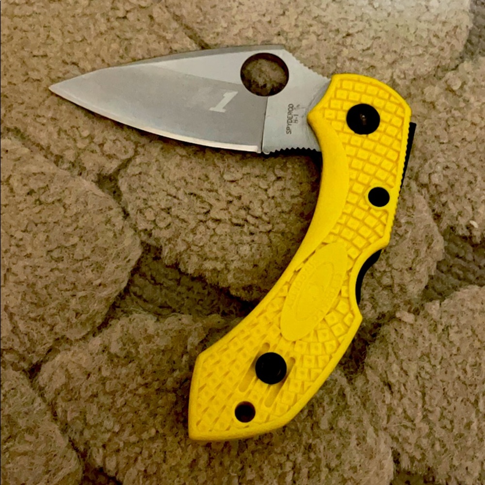 Spyderco Dragon Fly Salt H-1
